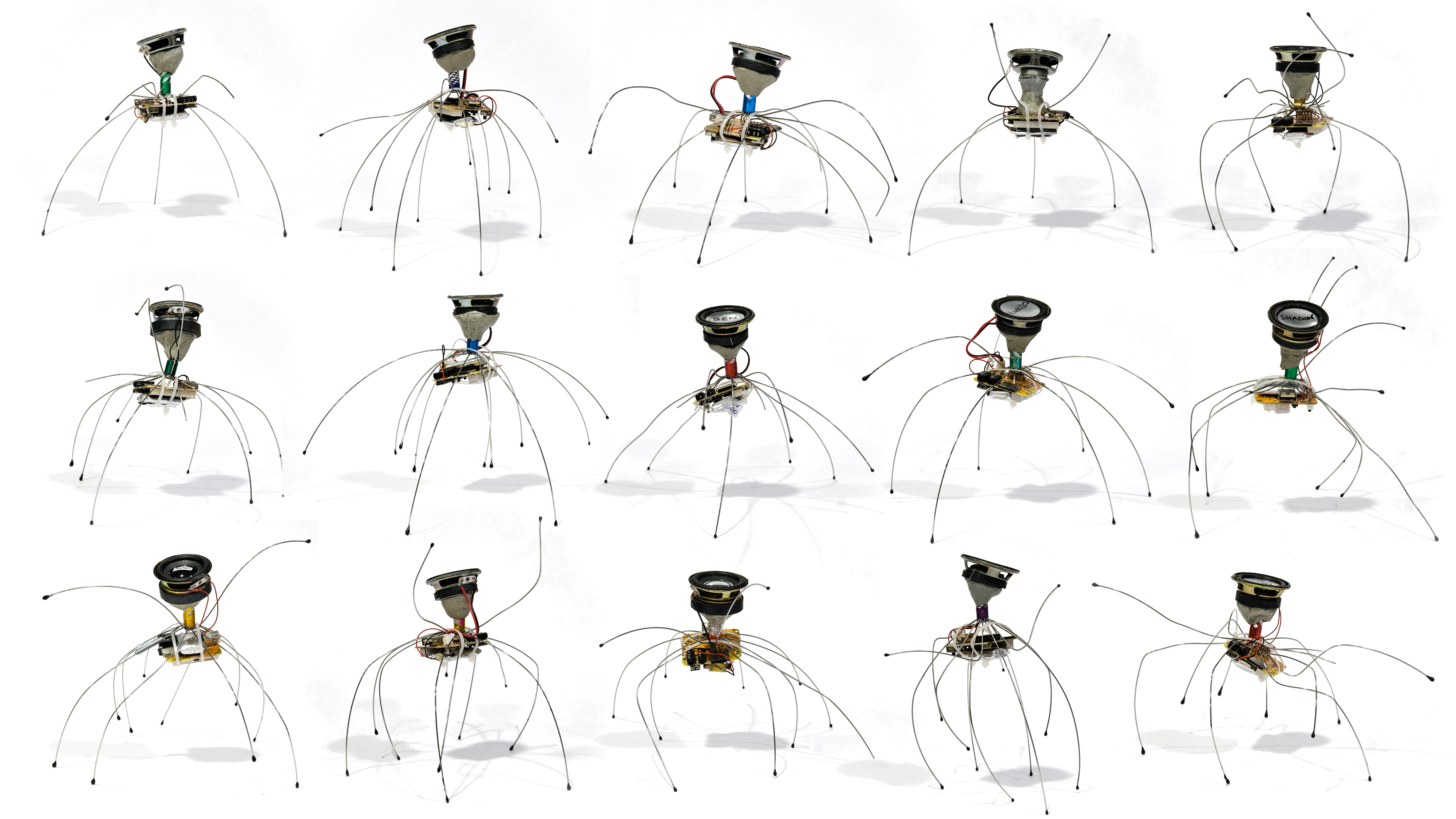 CID MEMO (MEMO28) FELIX BLUME LOS GRILLOS DEL SUENO PHOTO FELIX BLUME