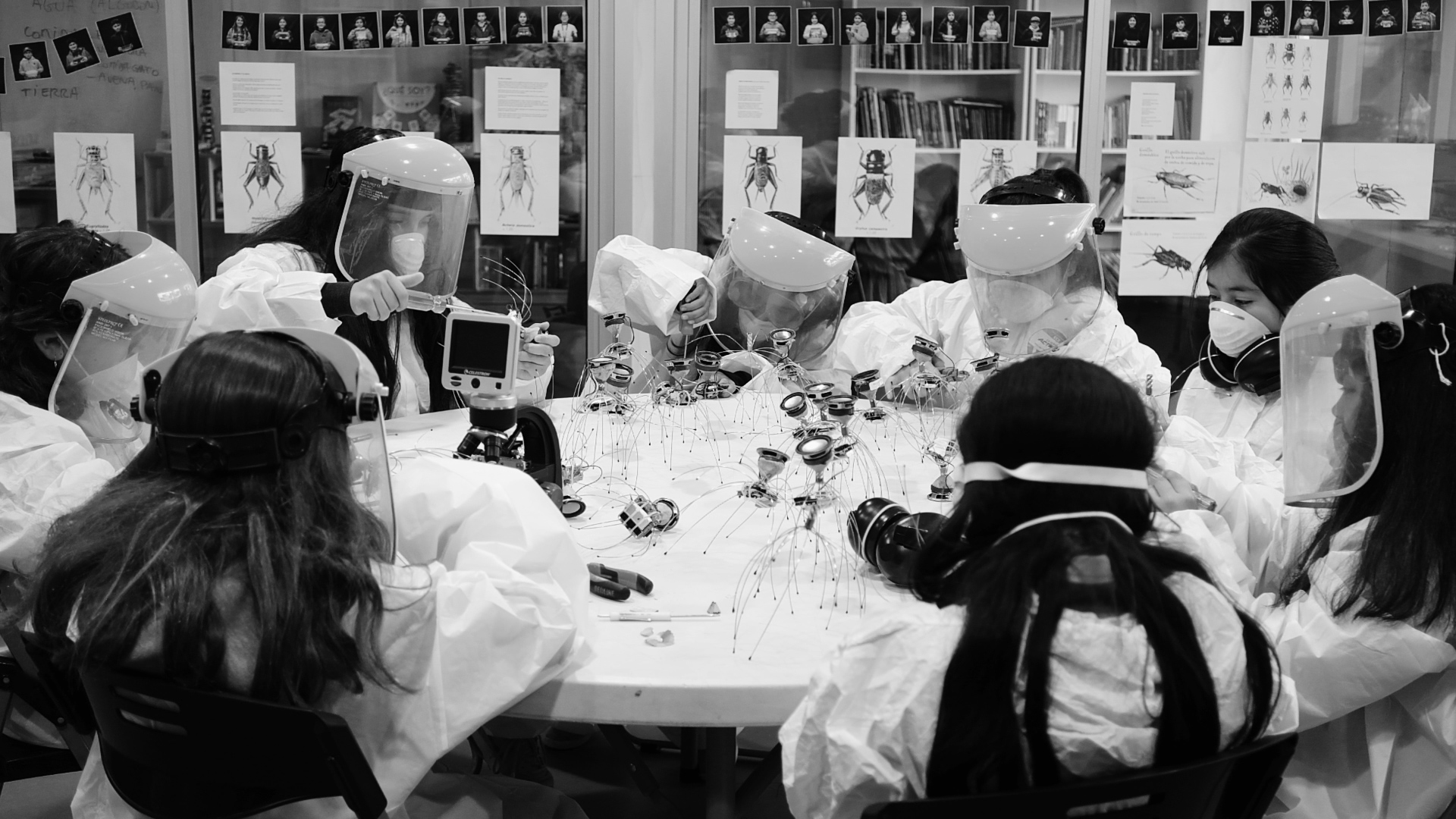 CID MEMO (MEMO29) FELIX BLUME LOS GRILLOS DEL SUENO PHOTO FELIX BLUME