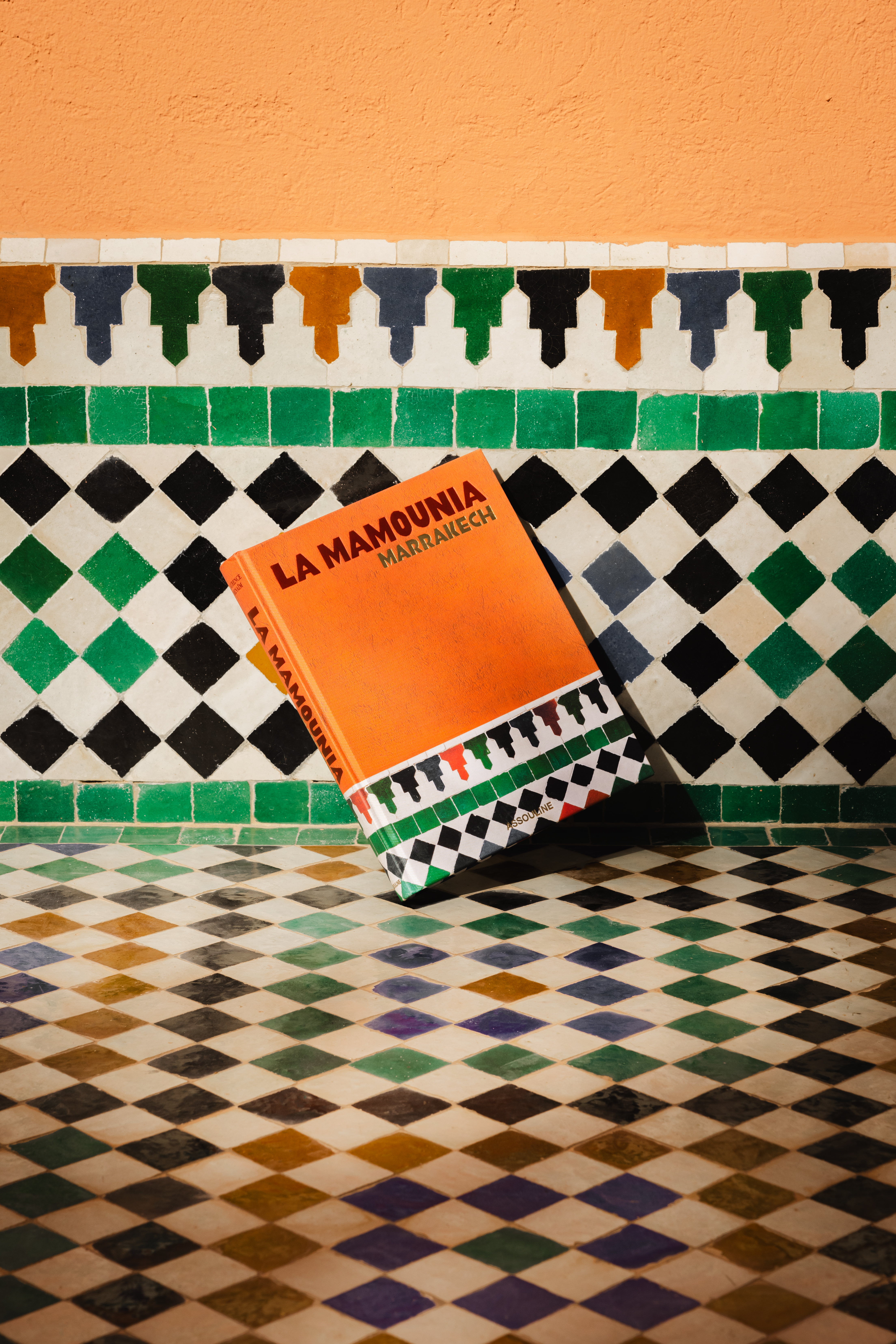 LA MAMOUNIA BOOK 110EUR 8