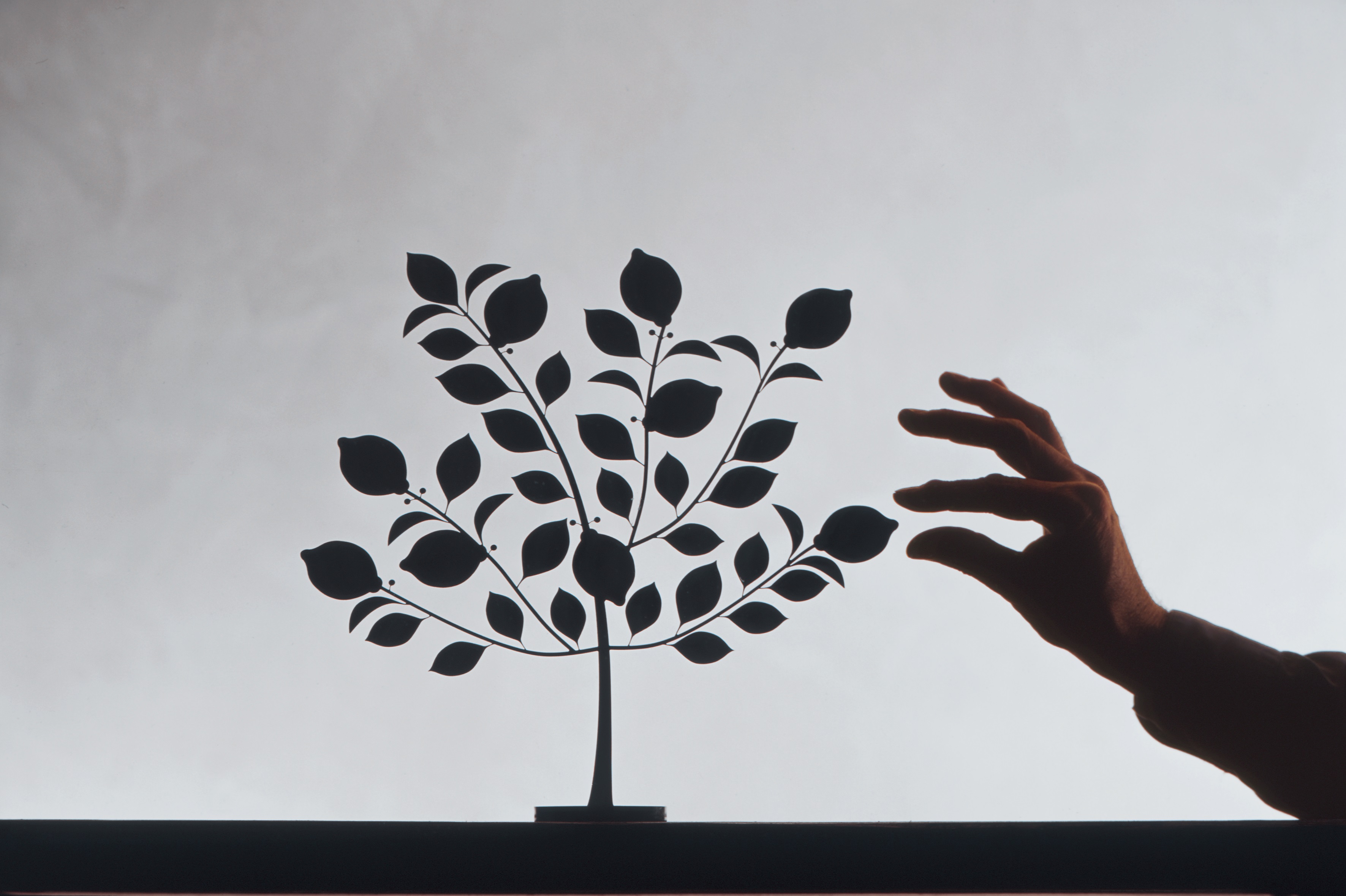 CID  DL10. MICHELE DE LUCCHI – LIMONE, METALLO GREZZO – 2005 COLLEZIONE IL GIARDINO   MICHELE DE LUCCHI